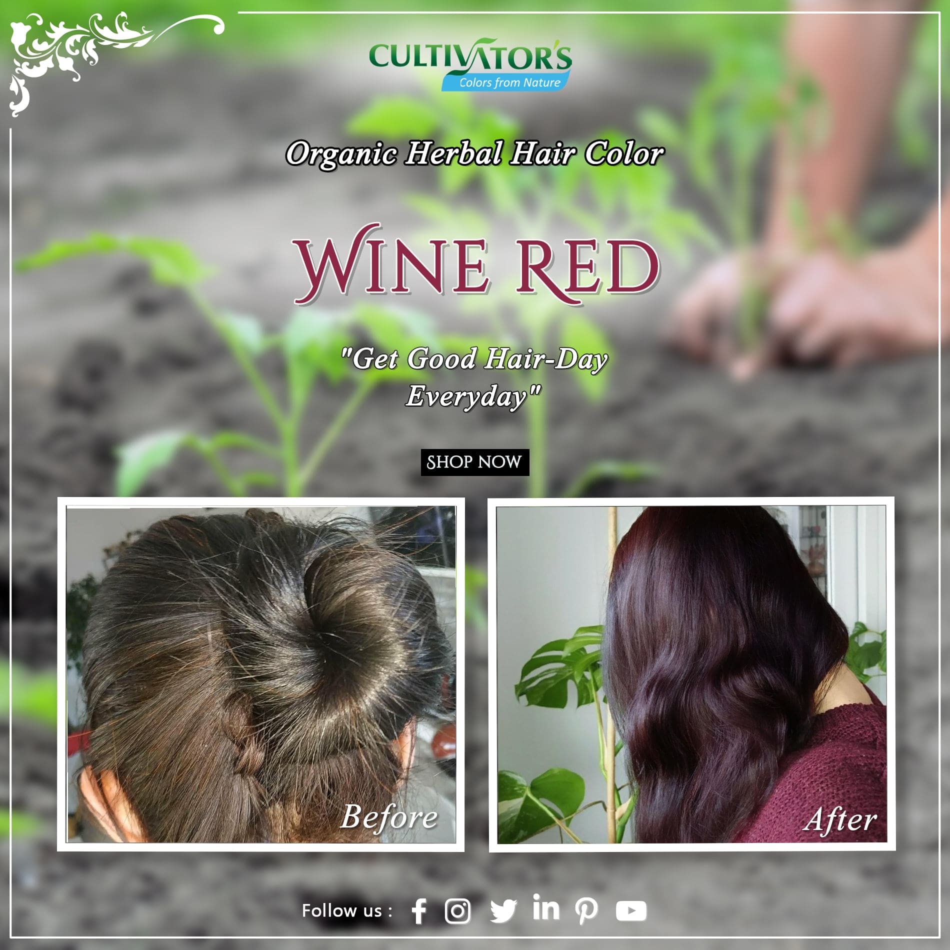 Coloration Wine Red - Cultivator's India - MA PLANETE BEAUTE